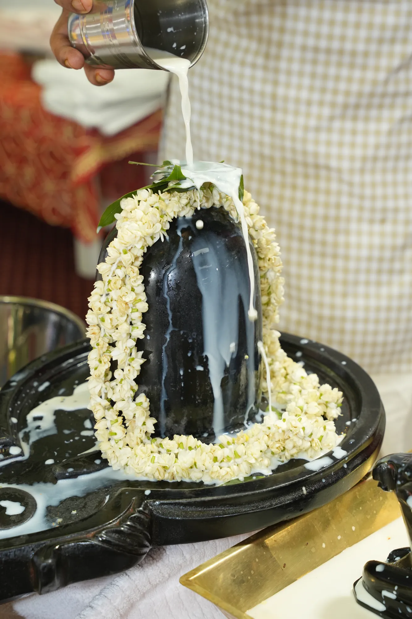 Mahashivratri 8